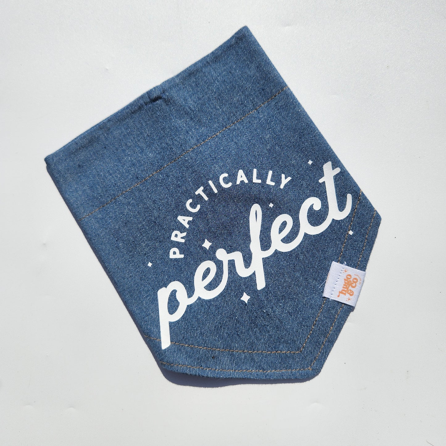 Practically Perfect Bandana
