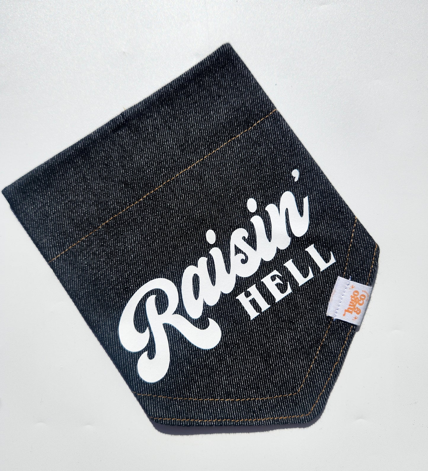 Raisin' Hell Bandana