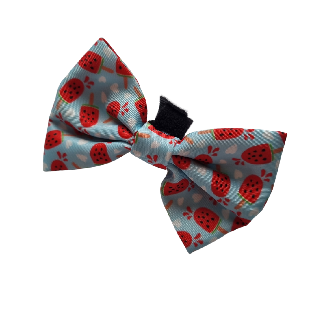 Watermelon pupsicle chain bowtie