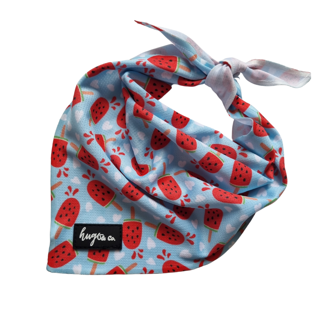 Watermelon pupsjcle bark bib