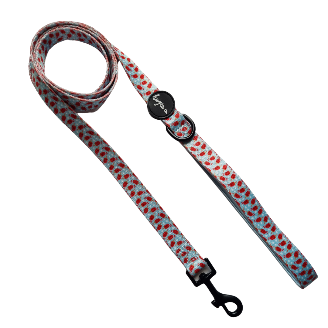 Watermelon pupsicle: Dog Leash