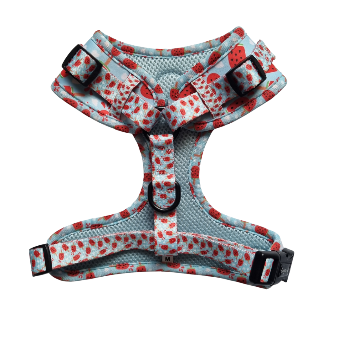 Watermelon pupsicle Adjustable Harness
