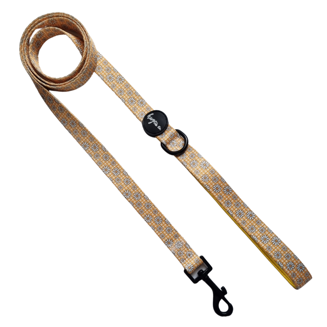 Daisy Chain: Dog Leash