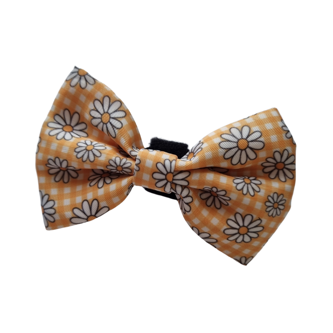 Daisy chain bowtie