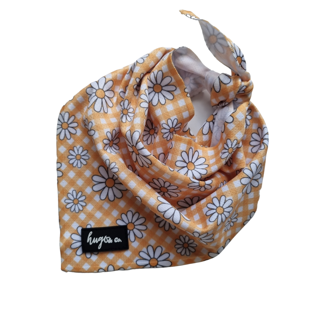 Daisy chain bark bib