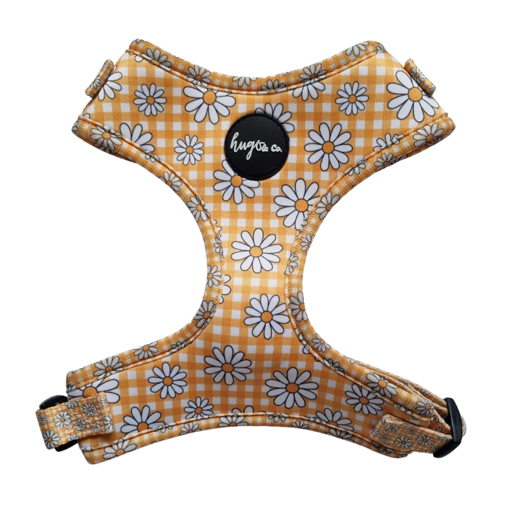 Daisy Chain Adjustable Harness