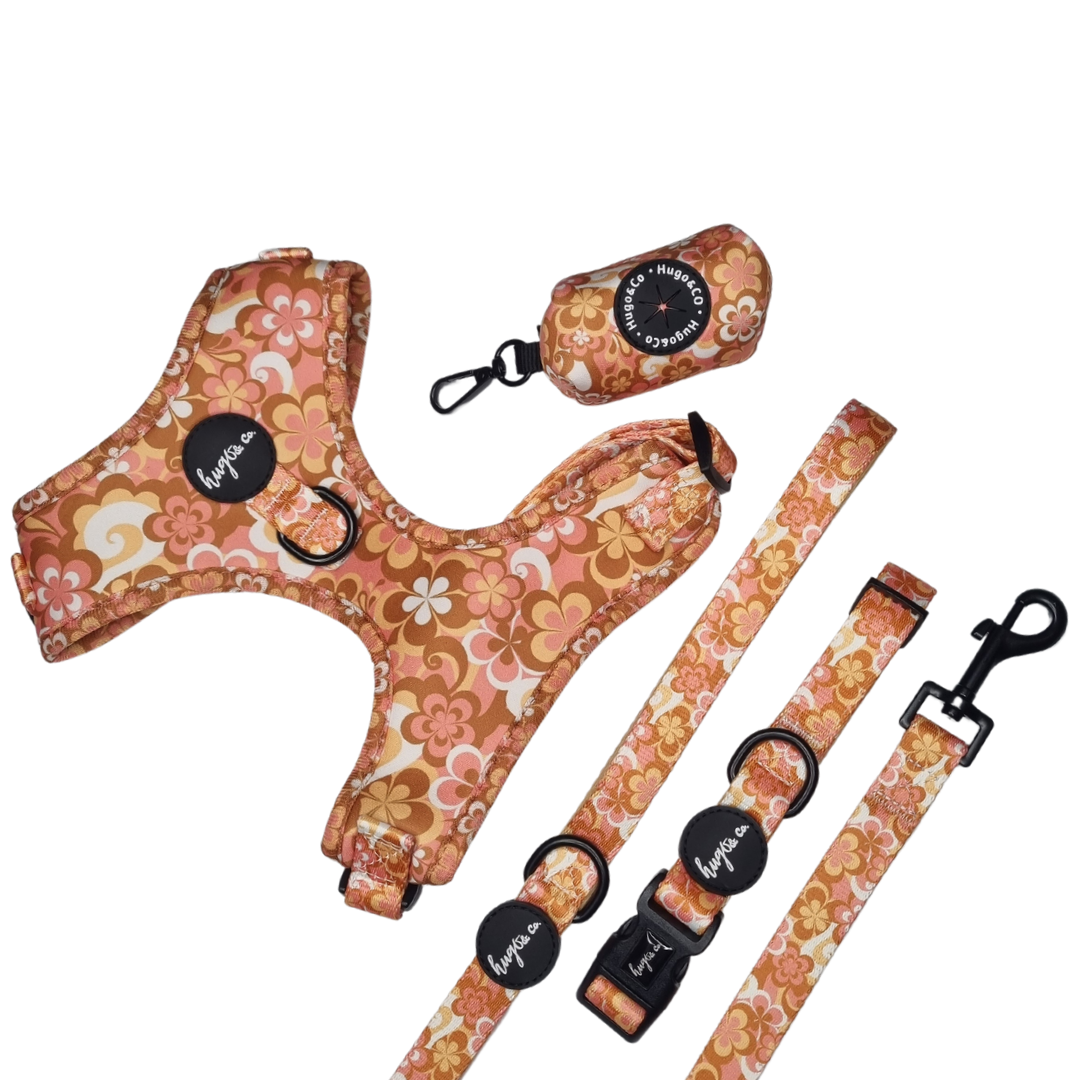 Palm Springs Essential Bundle