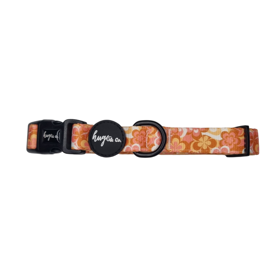 Palm Springs Up Collar