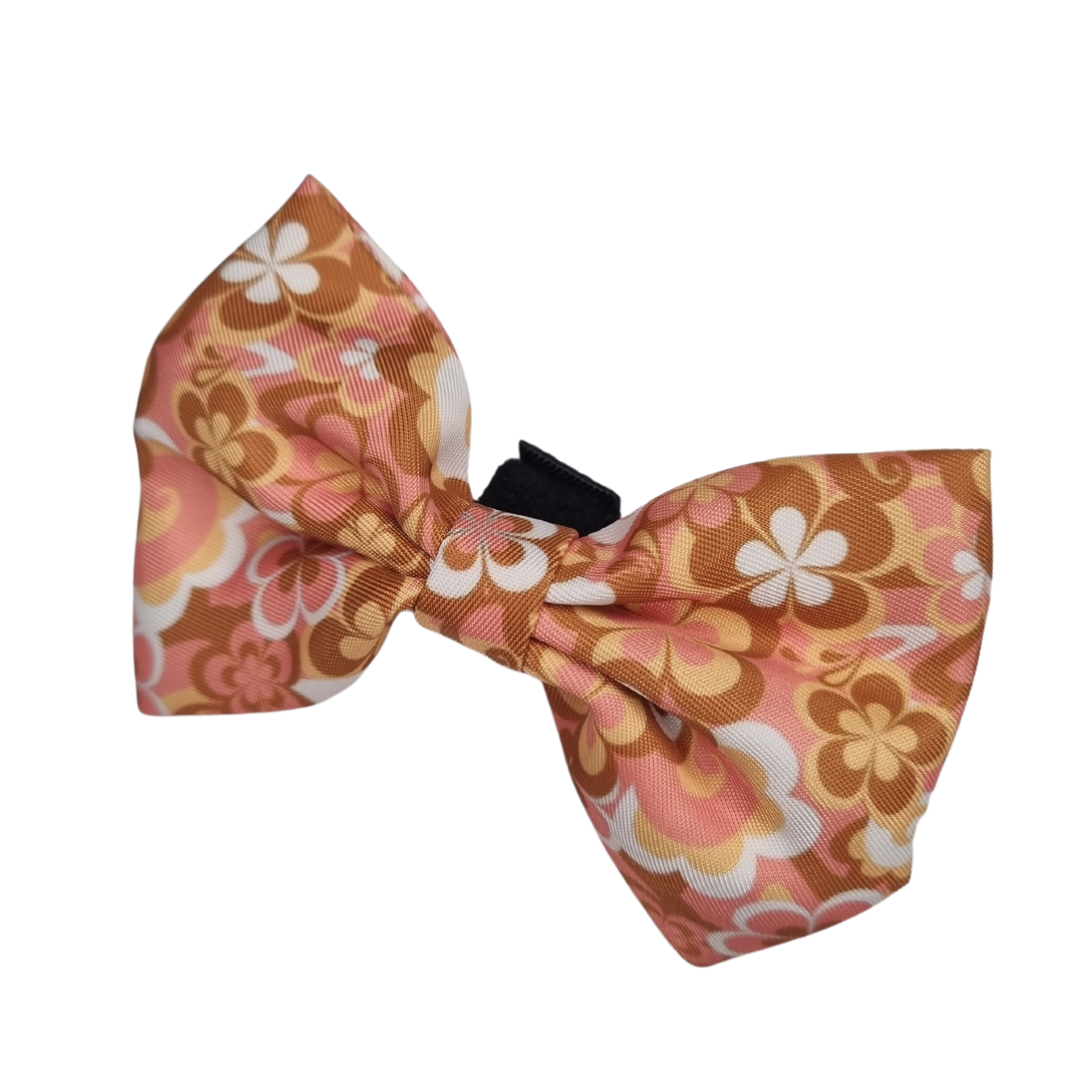 Palm Springs bowtie