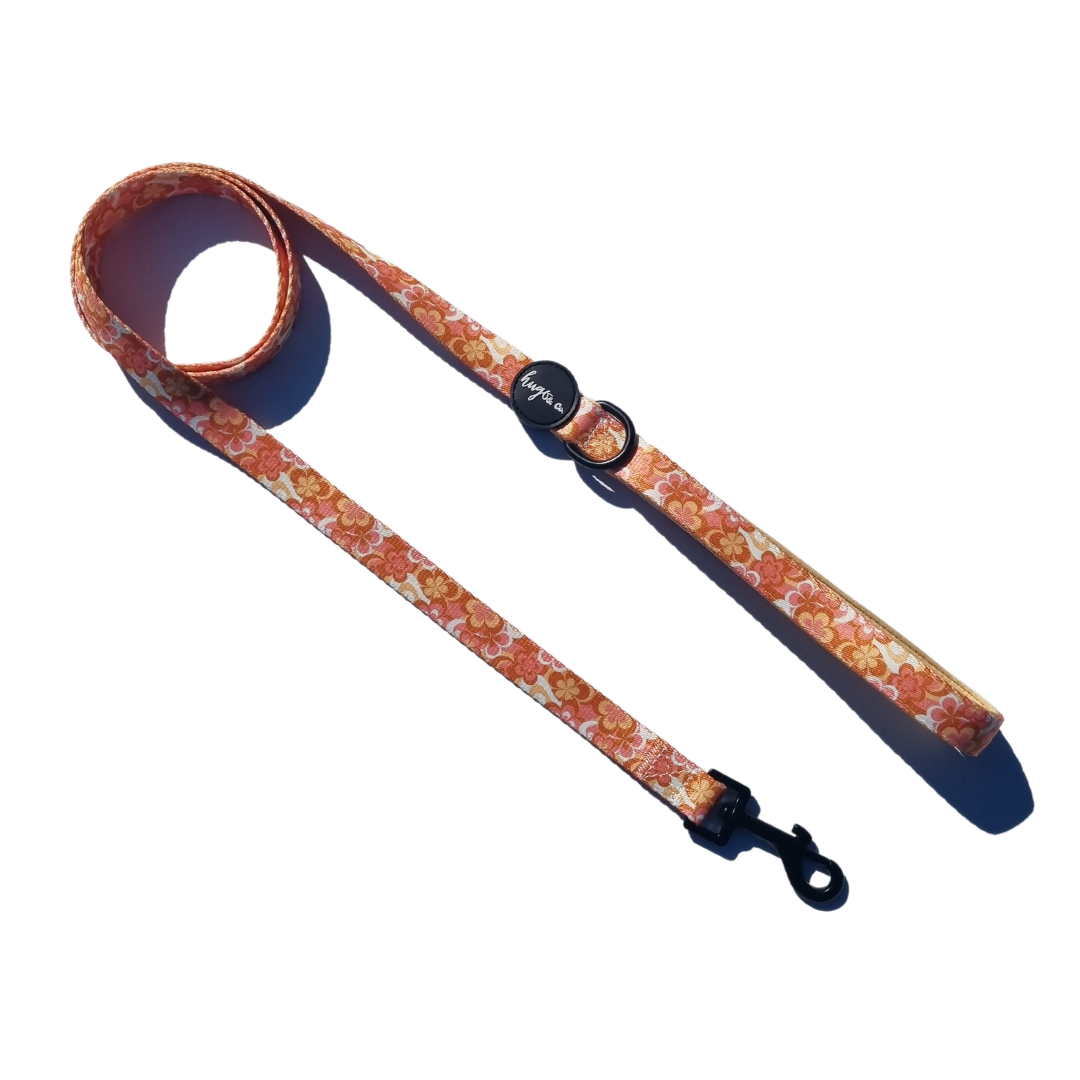 Palm Springs: Dog Leash