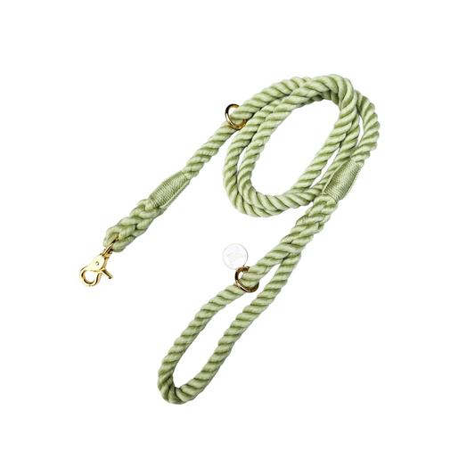 Lime Rope Lead
